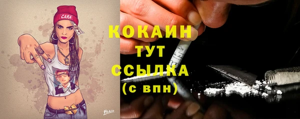 mdpv Новозыбков