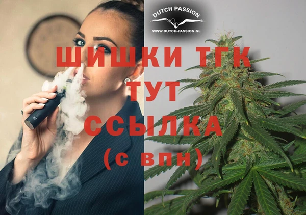 PSILOCYBIN Новодвинск