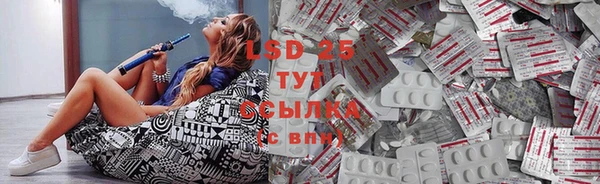 mdpv Новозыбков