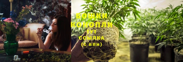 стаф Нефтегорск