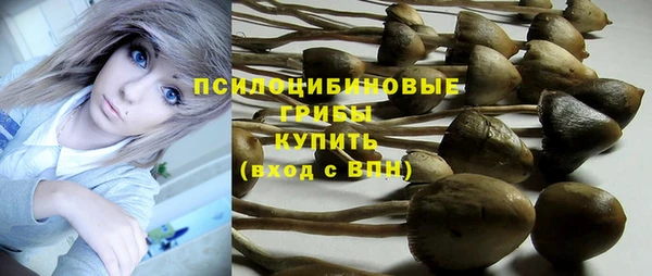 mdpv Новозыбков