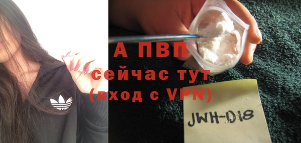 PSILOCYBIN Новодвинск