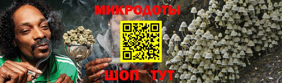 Псилоцибиновые грибы GOLDEN TEACHER Ахтубинск