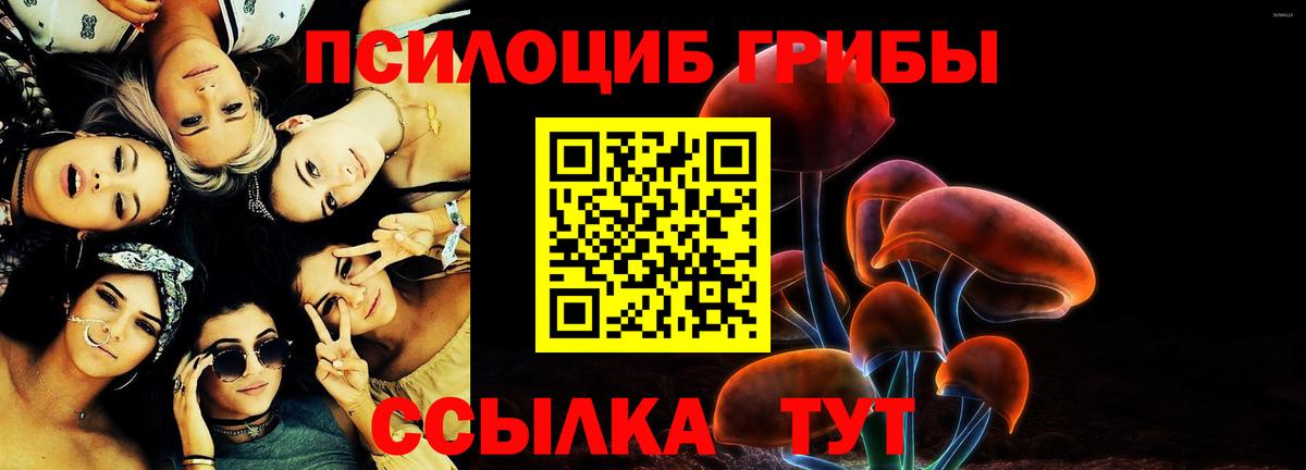 Псилоцибиновые грибы Magic Shrooms  Вход с VPN  Ахтубинск 