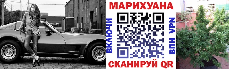 Шишки марихуана конопля Ахтубинск